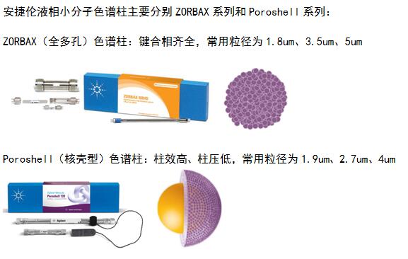 小分子色谱柱0..jpg